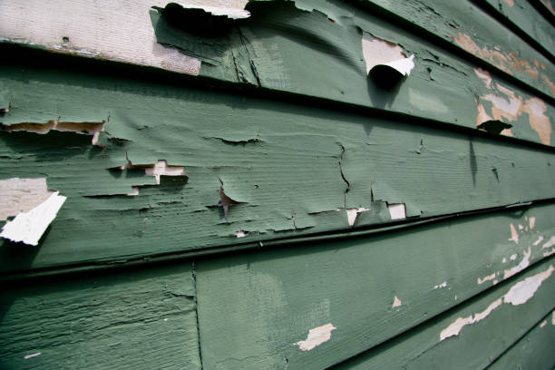  Donaldsonville, LA Siding Installation Pros