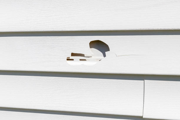 Affordable siding repair and maintenance services in Donaldsonville, LA